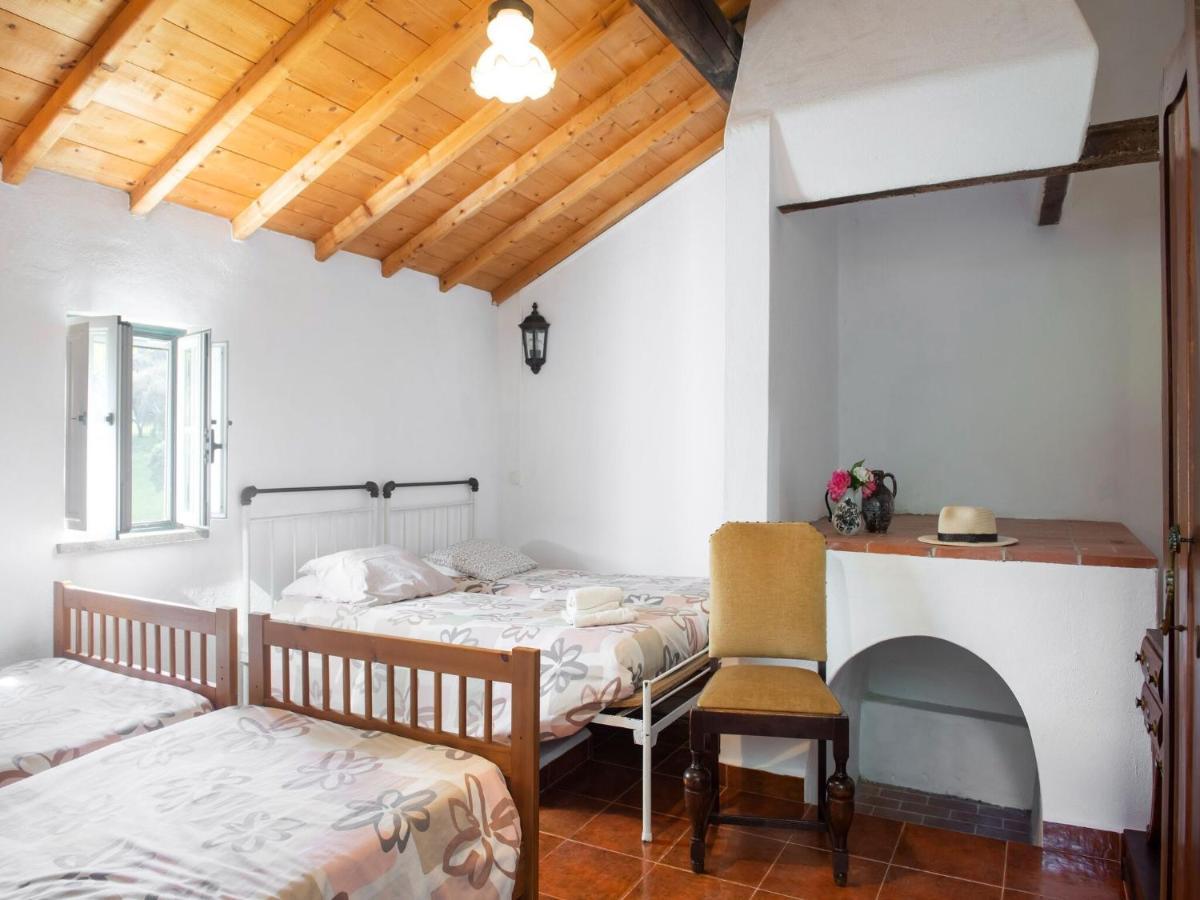 House With Authentic Tiling And Antique Furniture Villa Монтемор-о-Ново Екстериор снимка